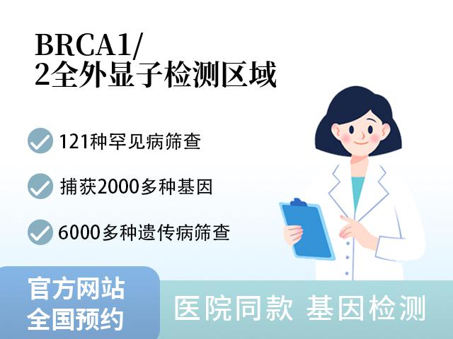 BRCA1/2全外显子检测
区域