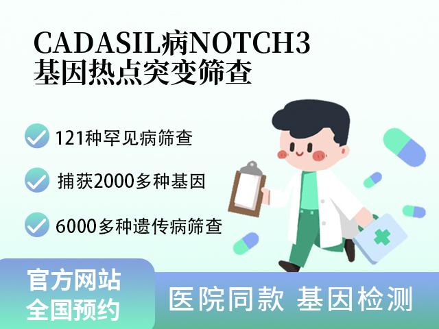 CADASIL病NOTCH3基因热点突变筛查