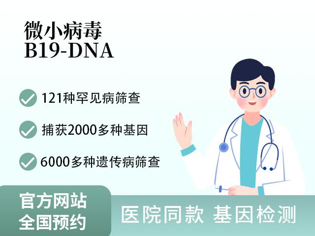 微小病毒B19-DNA