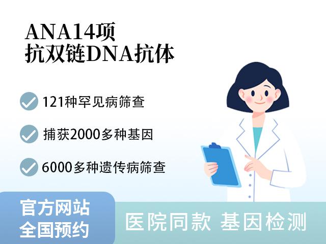 ANA14项（抗双链DNA抗体）